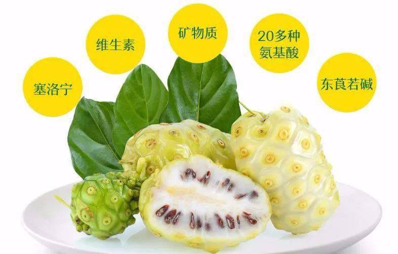 喝诺丽果汁，千万不要着急！它需要一个过程.....