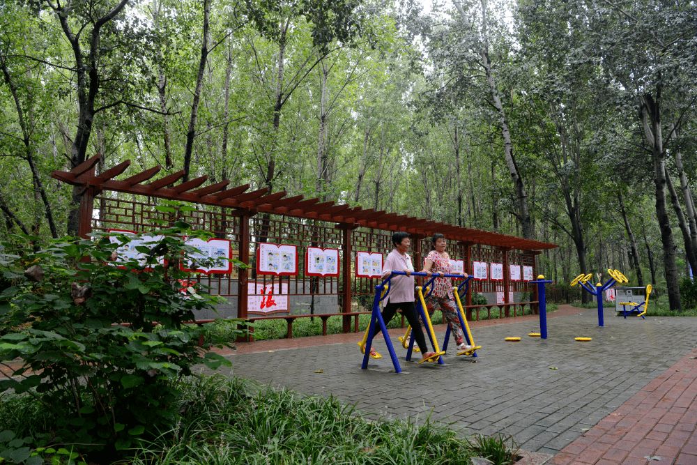 来了滕州口袋公园地图