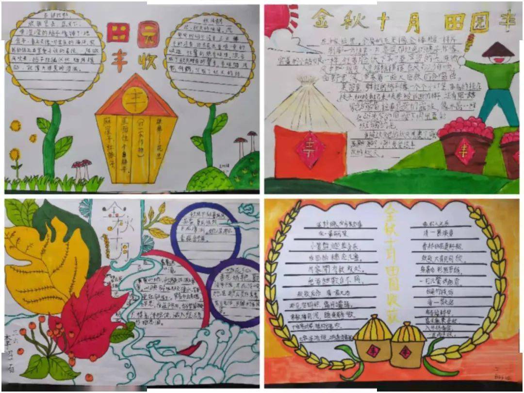 他们制作了精美的田园丰收手抄报,展现农田,菜园,果园的丰收景象;以