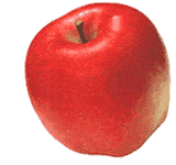 160_150gif 动态图 动图