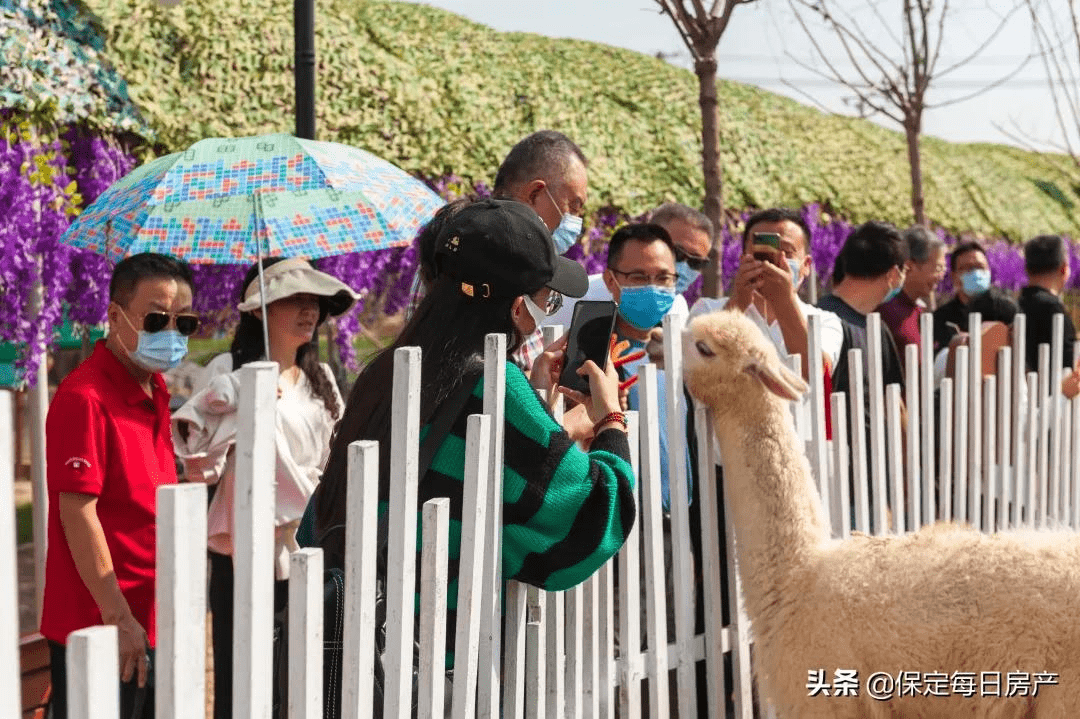 在田园牧歌式的生活场景里 亲近土地,关心果蔬 走进青青牧场 与萌态