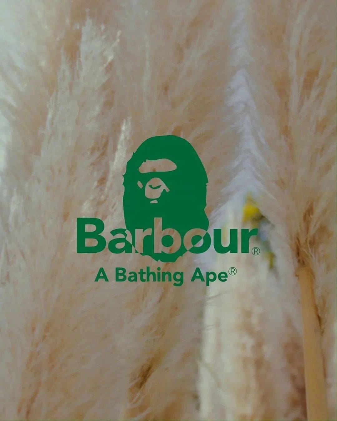 品牌 功能性与街头感的糅合，BAPE? x Barbour 联名系列正式登场