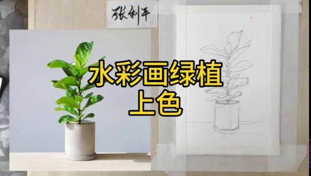 零基礎水彩畫綠植上色過程按照這個步驟可以更好的控制畫面