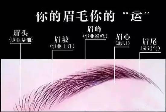 眉不过框, 富贵不长, 眉尾散乱, 有钱难聚!_眉毛