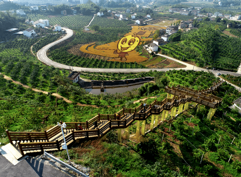 忠县东坡梯道图片