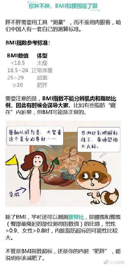 反弹|世卫组织推荐的不反弹减肥法