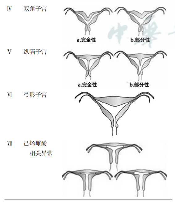 女性假两性畸形症状图片