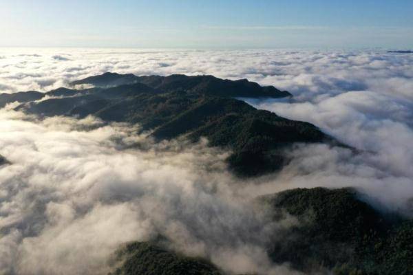 南漳|湖北南漳：秋日山村云海美