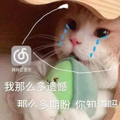 华农熄灯生活指南