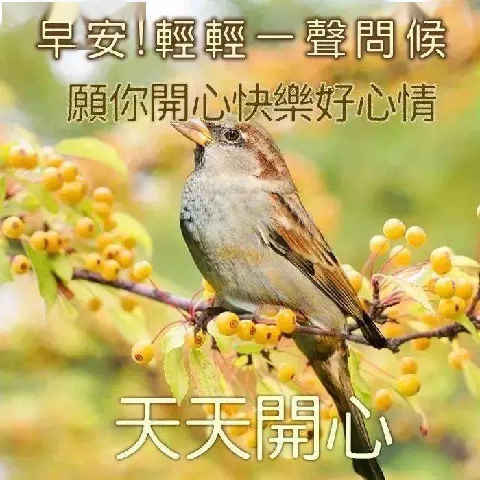 早上好表情包图片大全秋日清晨早安问候图片友谊问好语句文字
