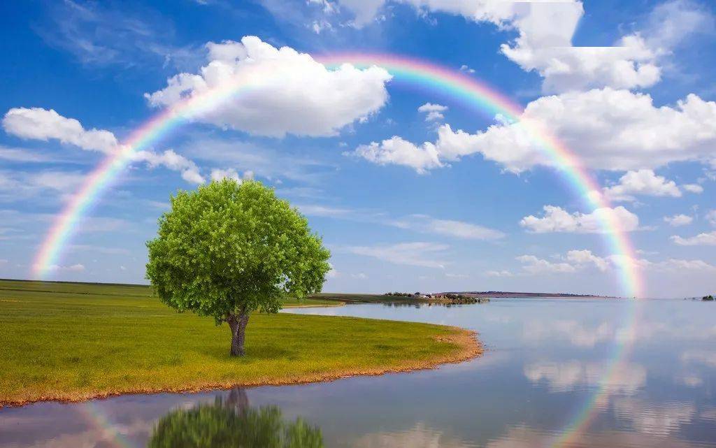 邳州诗坛|韩洪江:晨观彩虹三首