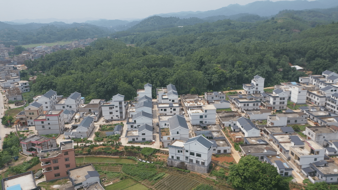 我的家乡龙安镇