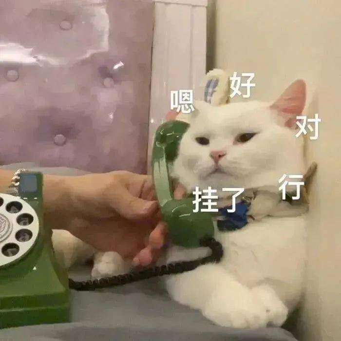 f0030100e7794ced8d75d2d46e7dfb95.jpeg