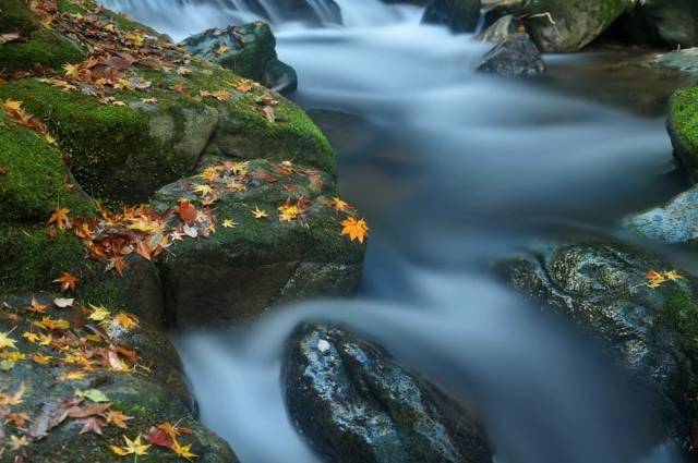 时候秋天的慢门怎么拍出与众不同的感觉？有5条捷径可走！