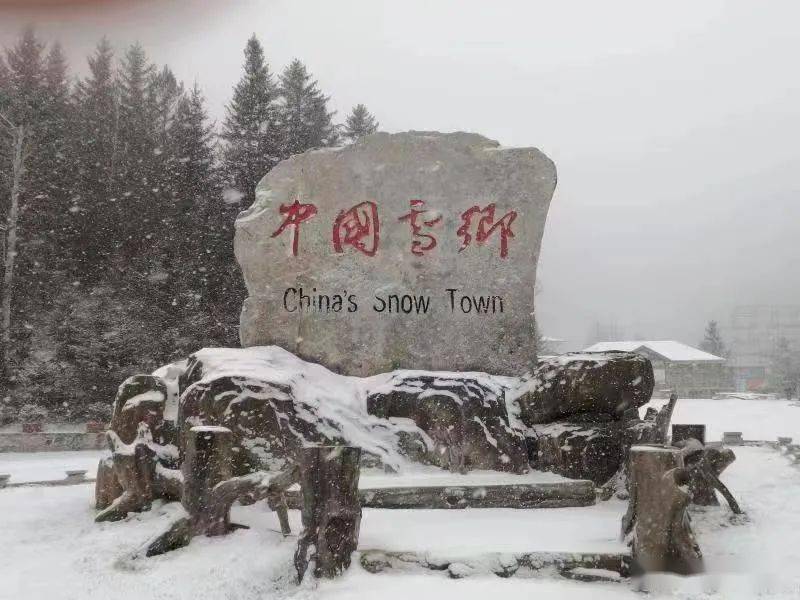 哈尔滨|黑龙江省多地迎来第一场雪！强冷空气来袭，大部地区最高气温10℃以下