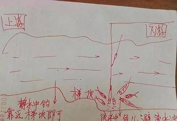 6cff1ad9f3fd465d8c9602d2542addec.jpeg