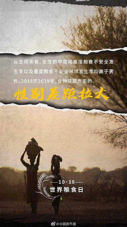 食物|关于粮食你可能不知道的事实