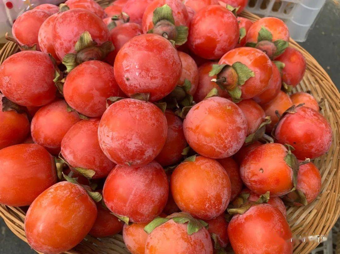 竟是因为贪吃…这款水果近期大量上市,很多宁波人也爱吃!