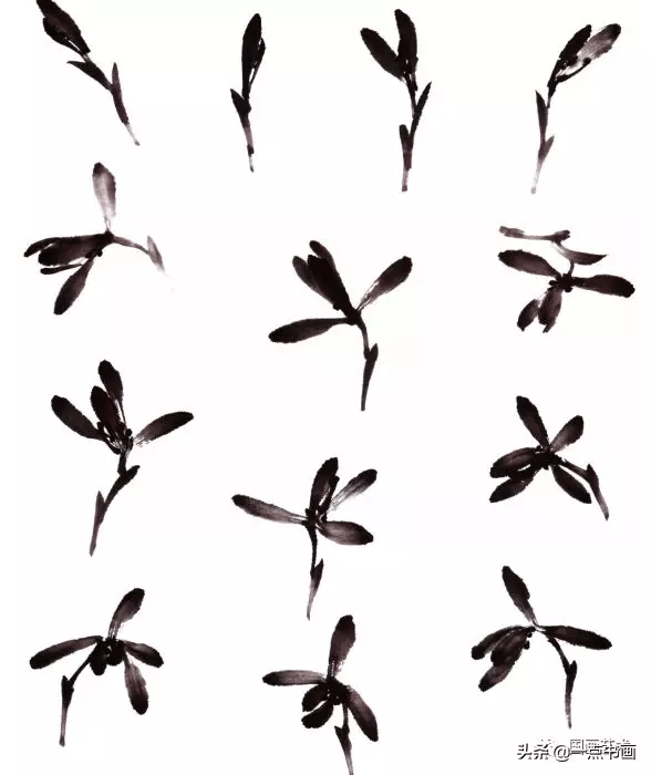 由于兰花有含苞,初放,怒放等不同的开花程度和我们所观看的角度不同