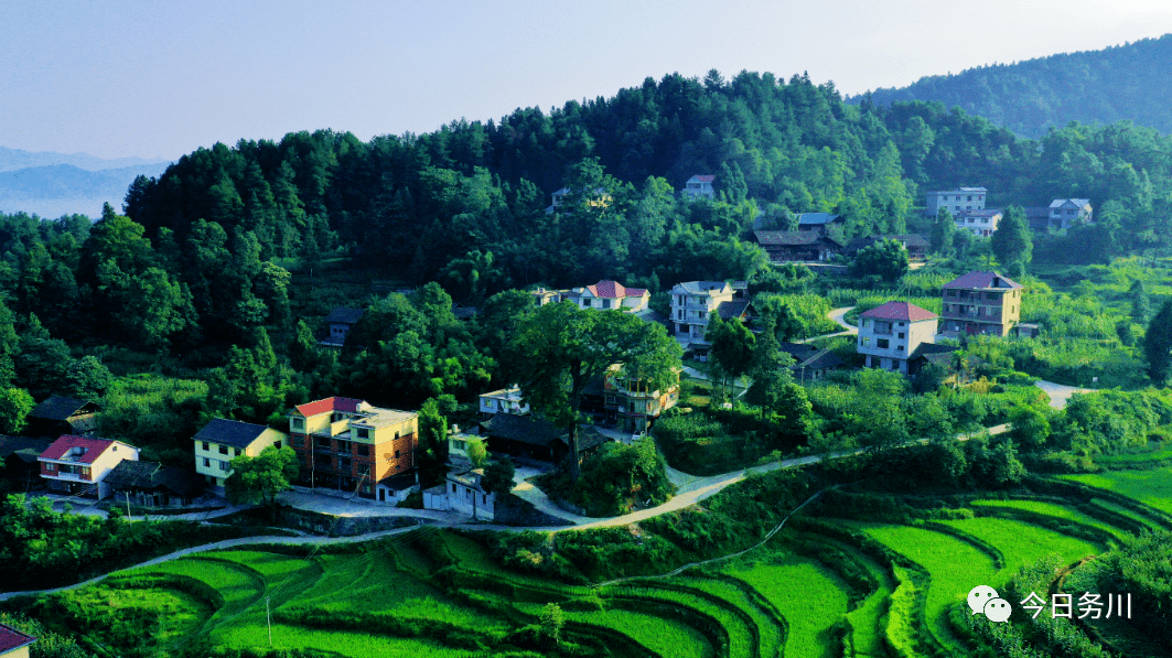 务川当阳村的照片图片