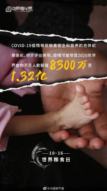 食物|关于粮食你可能不知道的事实