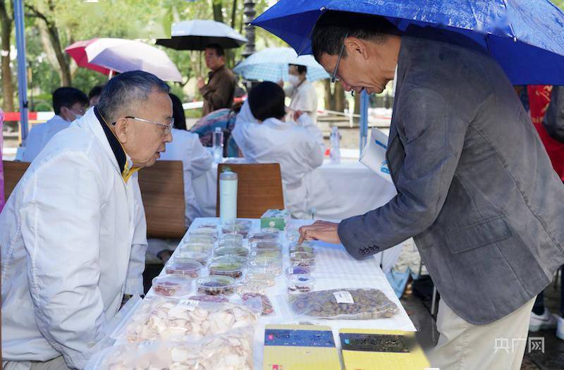 市民|“养生进补”季节即将到来 上海岳阳医院第十七届中医养生节开幕