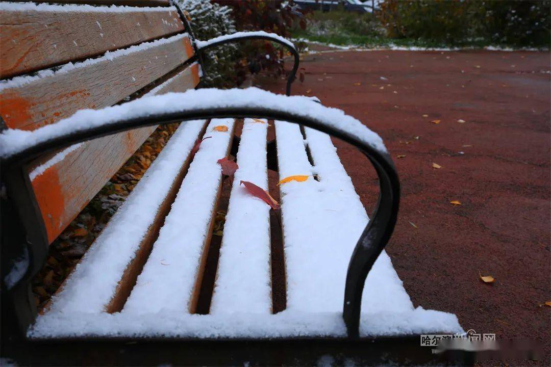 哈尔滨|黑龙江省多地迎来第一场雪！强冷空气来袭，大部地区最高气温10℃以下