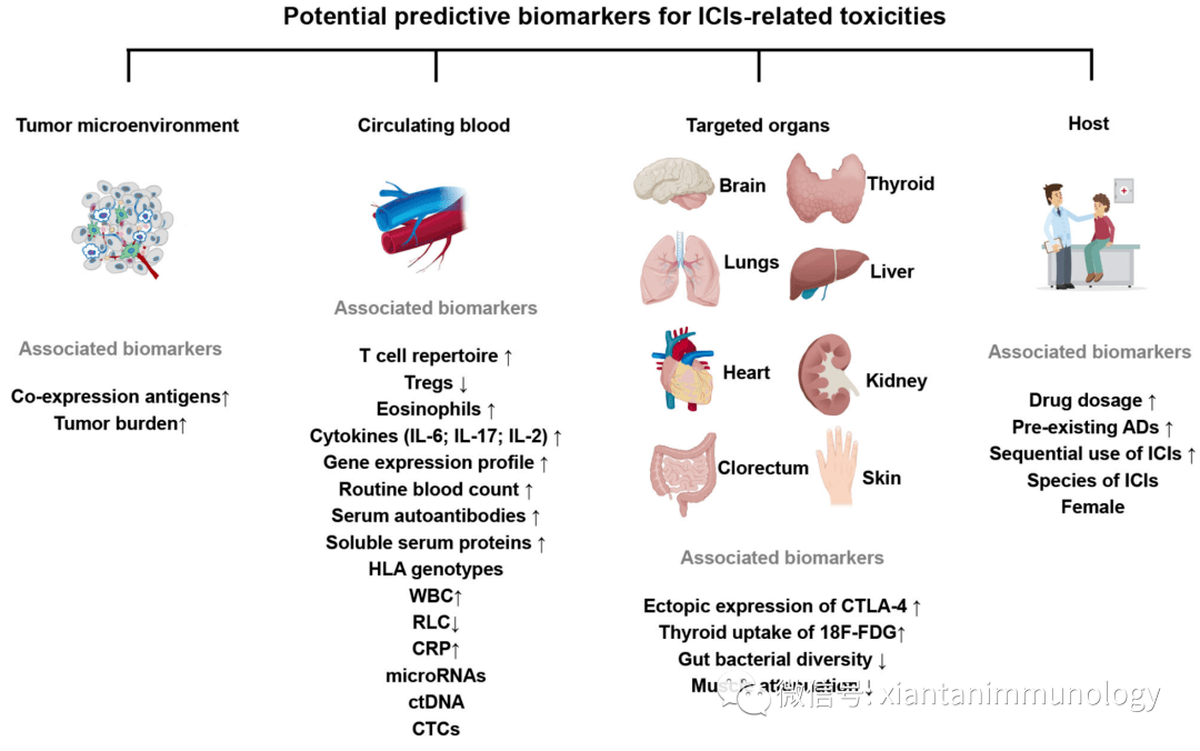 biomarker預測療效,耐藥,毒性(免疫檢查點)