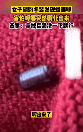 21d2a70c5e7c4e5eac7f7dbdba4e4126.png