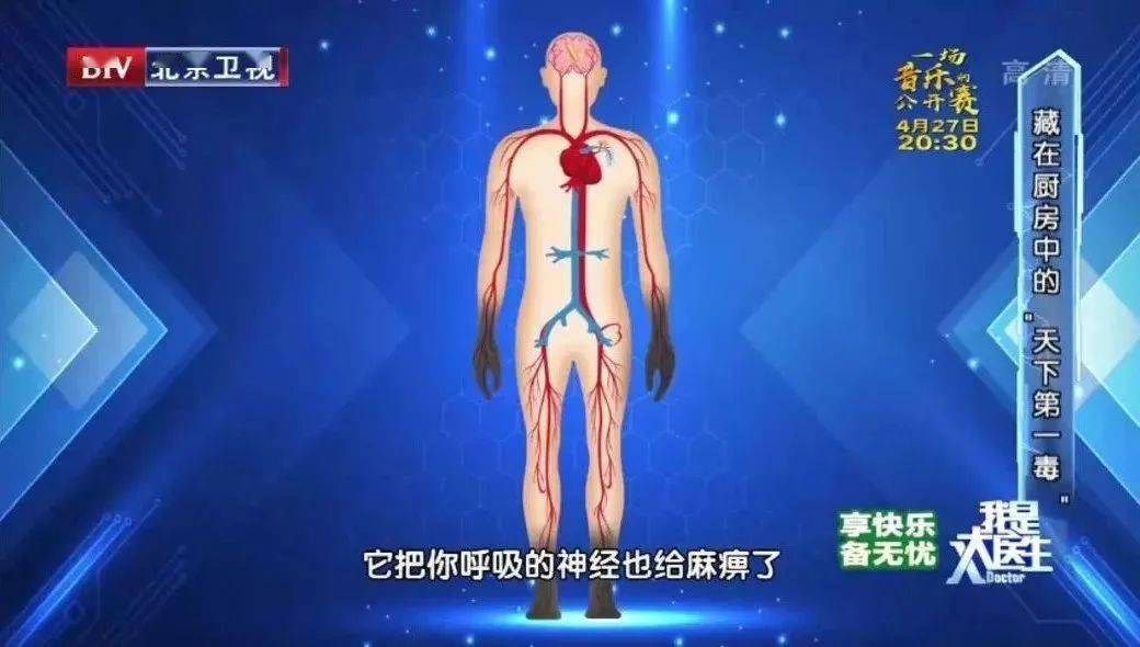大脑|营养早餐,4大标准一个别少~