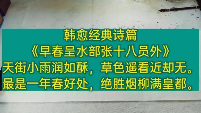 四尺對開條幅作品草書書法欣賞韓愈名詩早春呈水部張員外