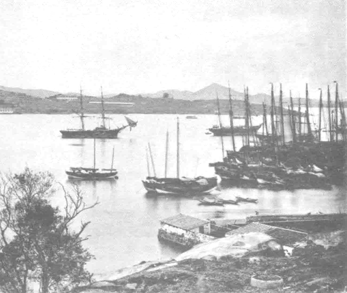 独家揭秘丨从清代厦门港开始了解泰兴号的前世传奇