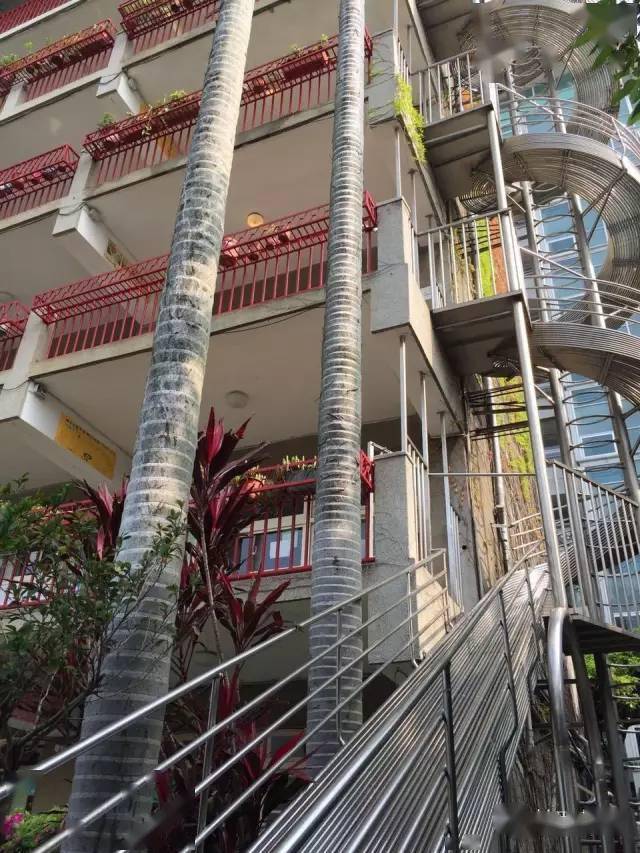 李镇西用儿童视角做教育台北市奎山中学掠影