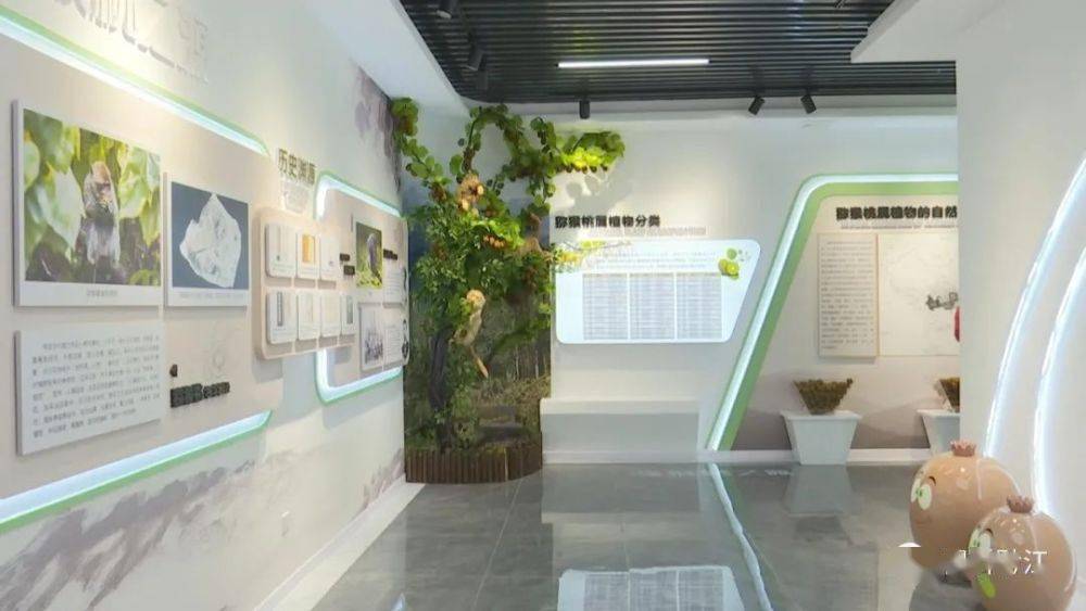 重庆首个猕猴桃文化展览馆在黔江区建成投用，免费对外开放