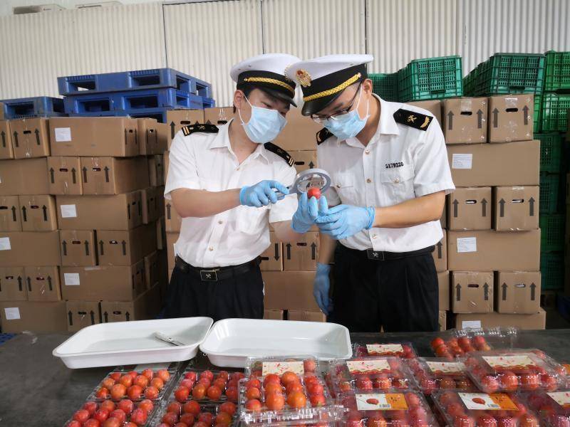 热销水果排行_进口水果销售降、国产水果销量增!砂糖橘、苹果、甜橙重上春节热...(2)