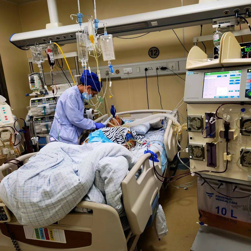 马蜂|50岁男子上山干活被马蜂蜇伤！注意，眼下正是高发期