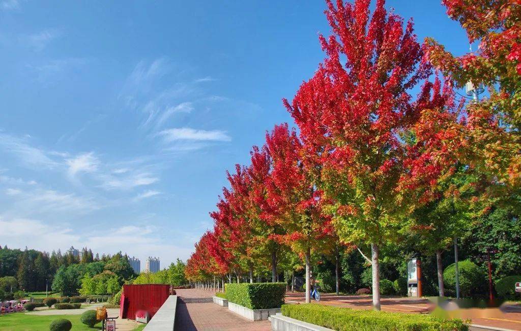 漯河河堤边上拍到的