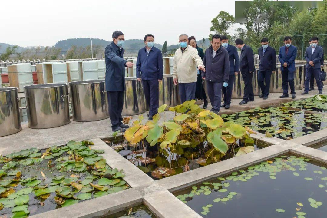 打造"高颜值"生态环境 守护人水和谐梁子湖 生态环境部副部长邱启文来