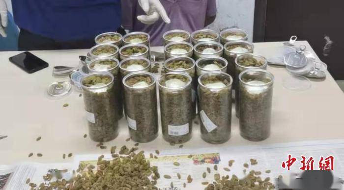 云南警方在中缅边境连破两起毒品案缴毒近6公斤