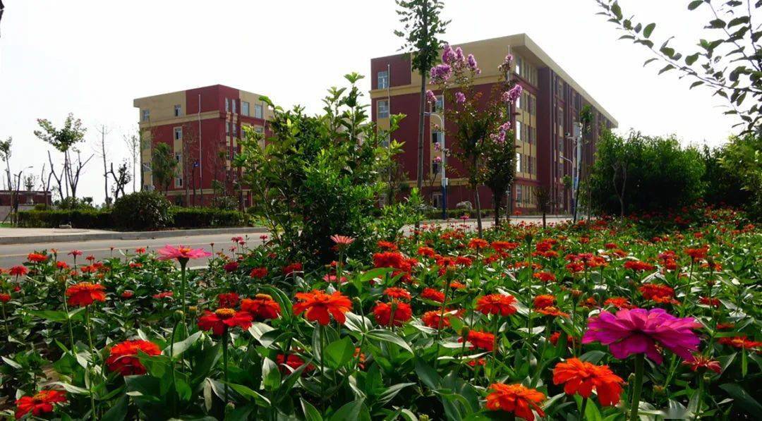 菏泽市文明校园风采展示67巨野县职业中等专业学校