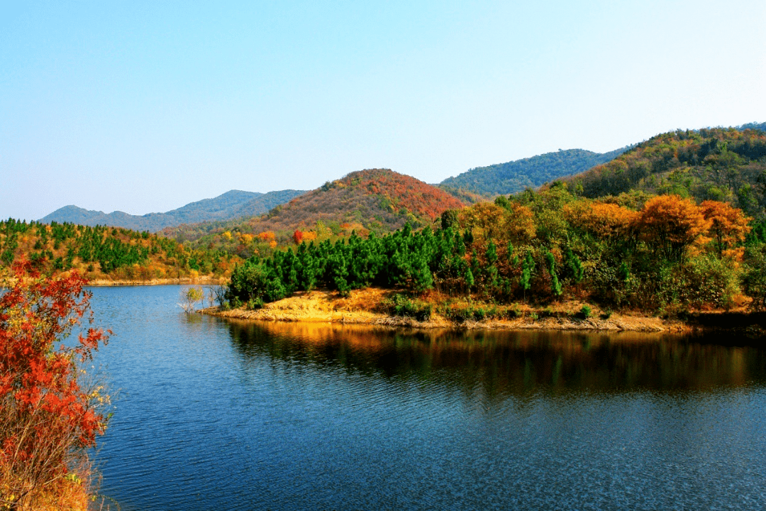 乡村振兴看全椒秀美马厂