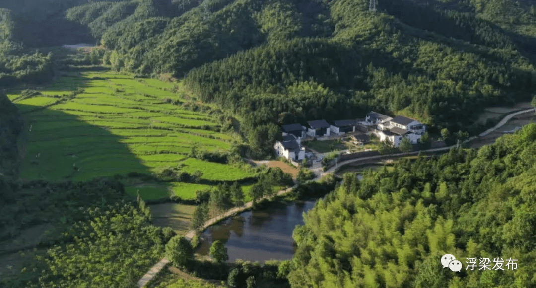 寿安镇灵珠村:山水秀丽景如画 乡村振兴绘新卷