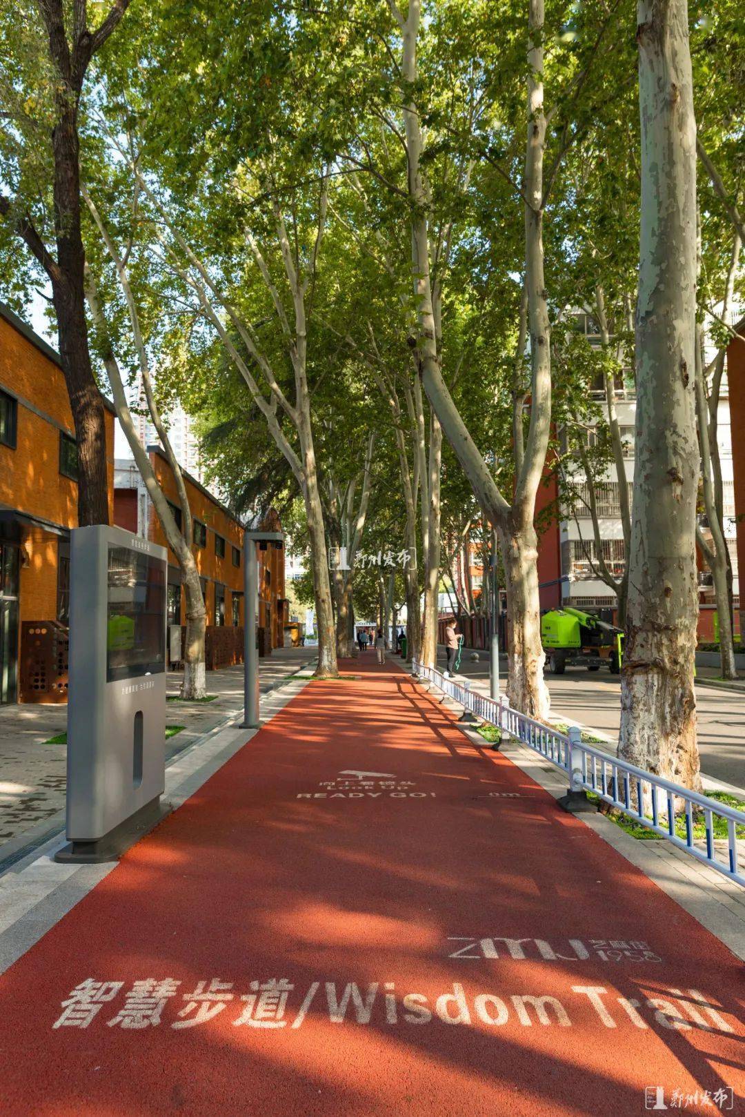 双创看郑州芝麻街迎来新景色快来打卡