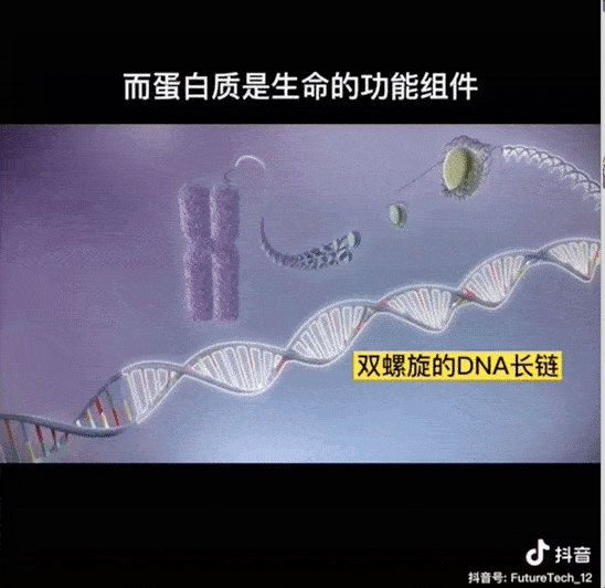 传统|看，抖音上的女飞手们让无人机成了新农具！