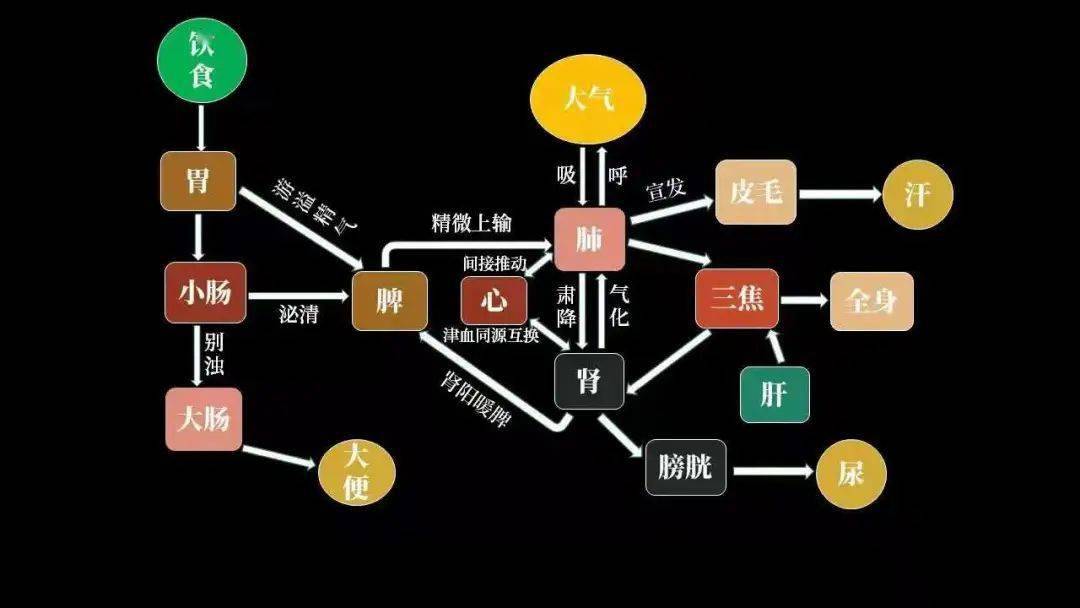 艾健康長得好看的人其實都跟脾有關