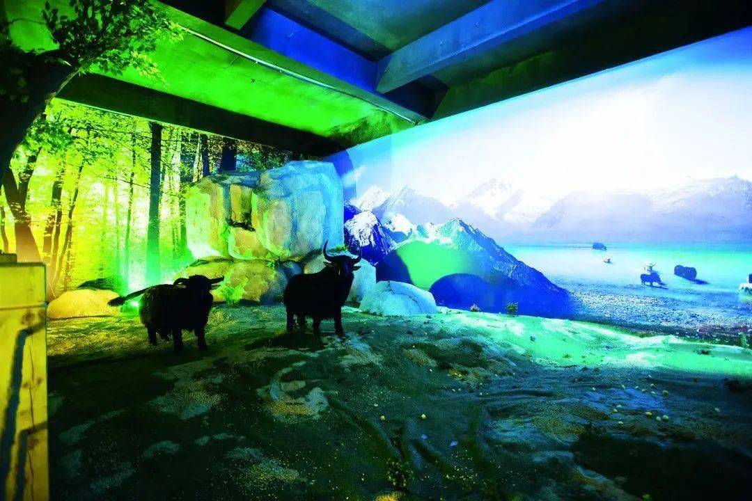 中国虫草博物馆开启意趣健康之旅