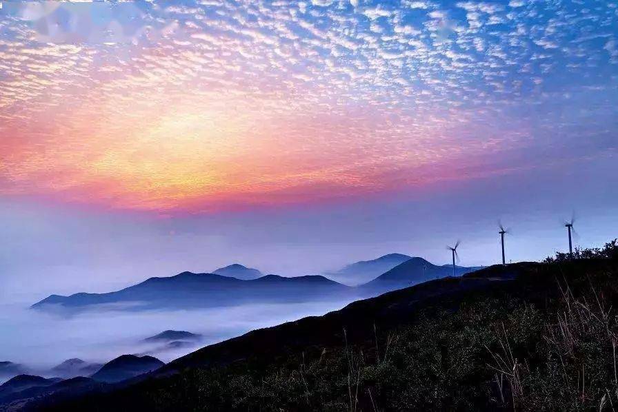 鹤顶山位于苍南县矾山镇境内,海拔1006米,因山势如鹤顶而得名,被誉为"