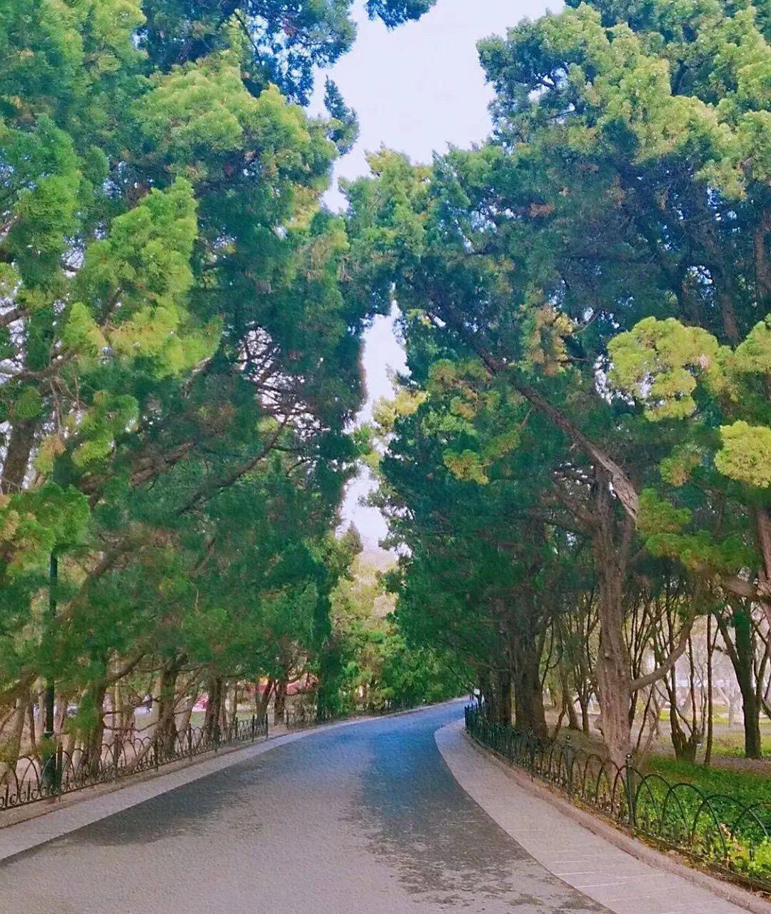 大连龙岛