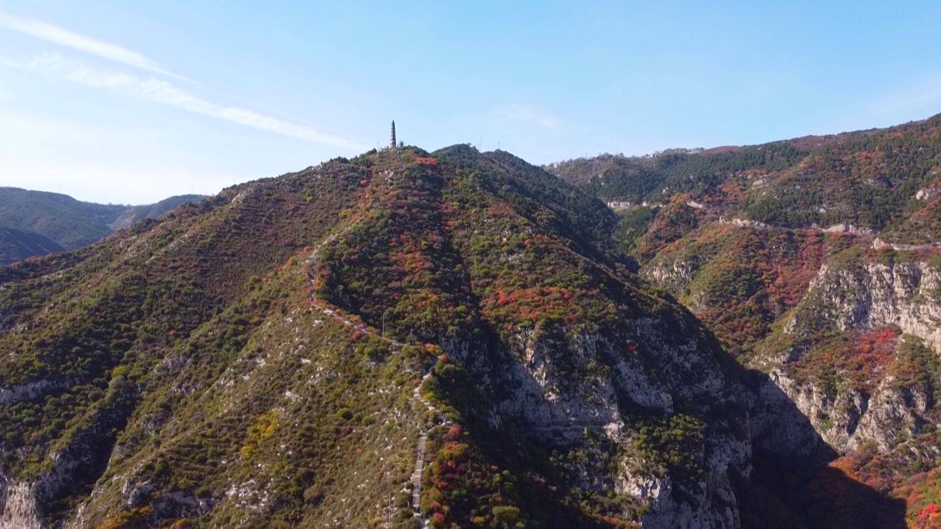 太原崛圍紅葉漫山舞光影盛宴等君來