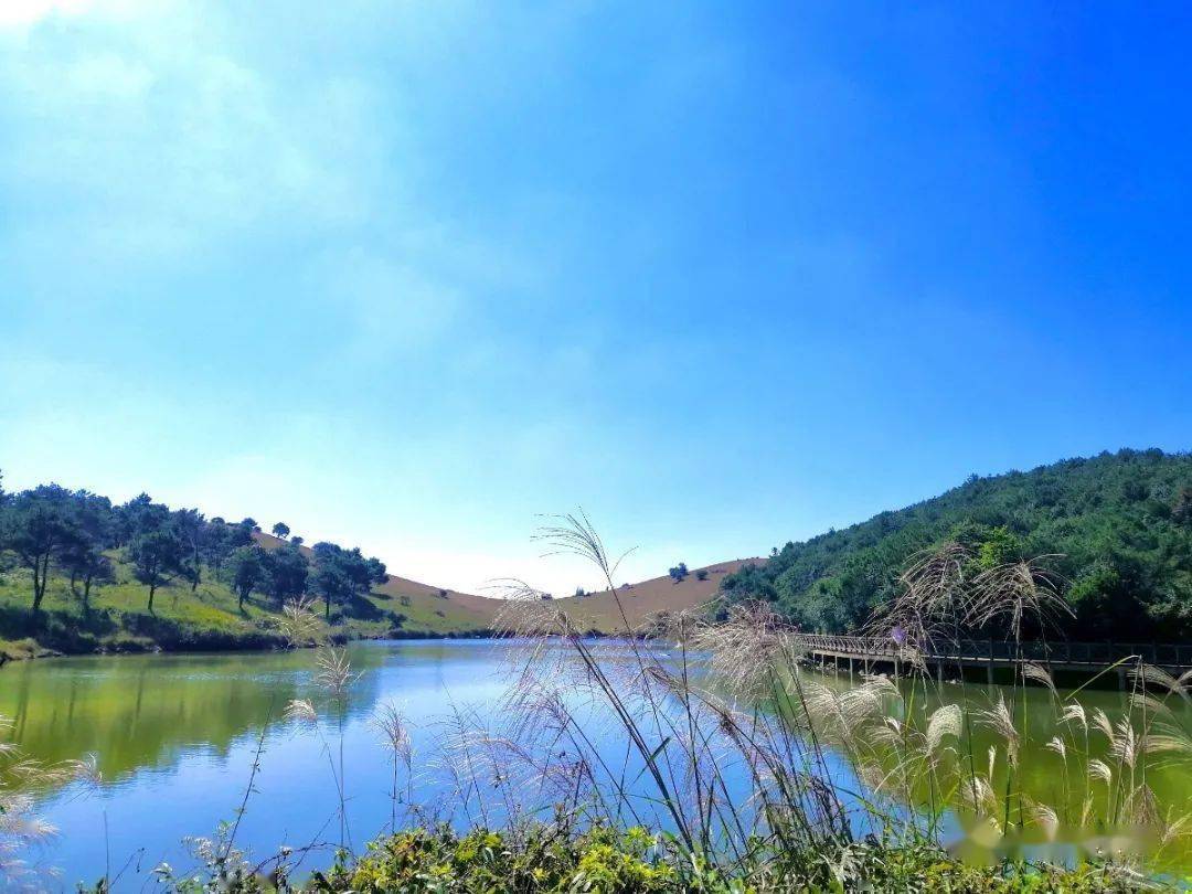 在青雲山景區目之所及除了滿眼的綠就是湛藍的天空在秋意闌珊的季節裡